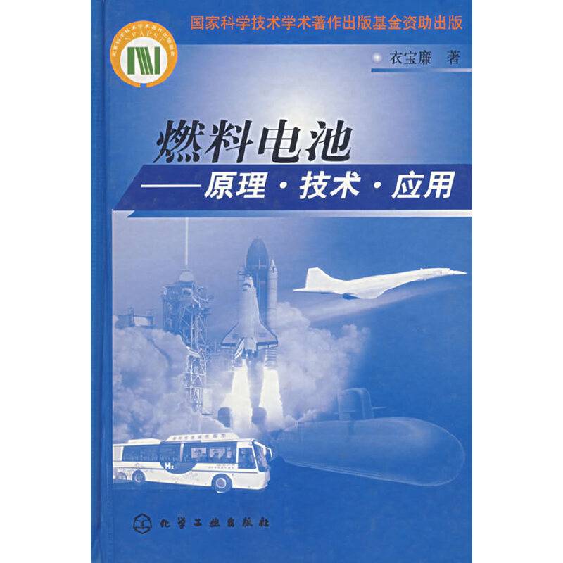 燃料电池——原理·技术·应用