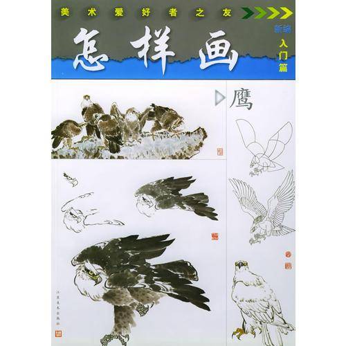 怎样画鹰