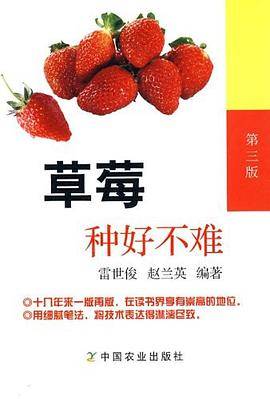 草莓种好不难