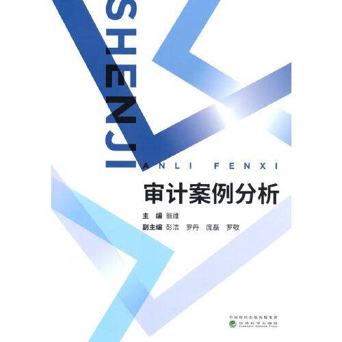 审计案例分析
