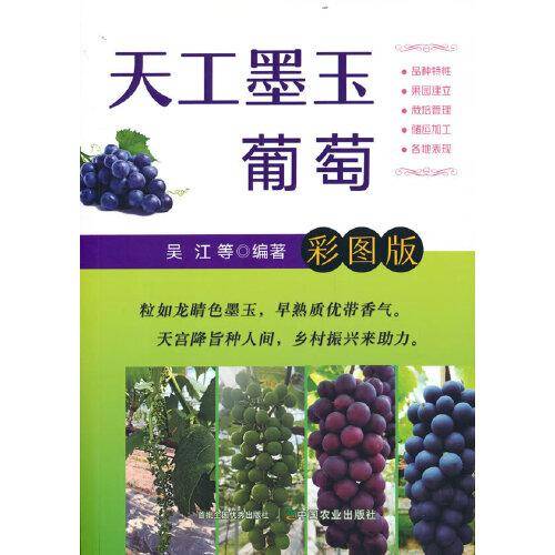 天工墨玉葡萄  彩图版