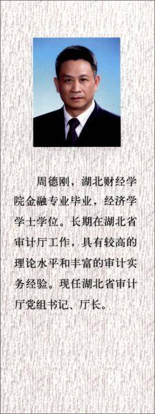 审计审理典型案例解析
