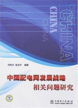 中国配电网发展战略相关问题研究