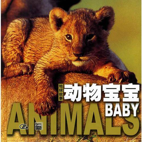 动物宝宝