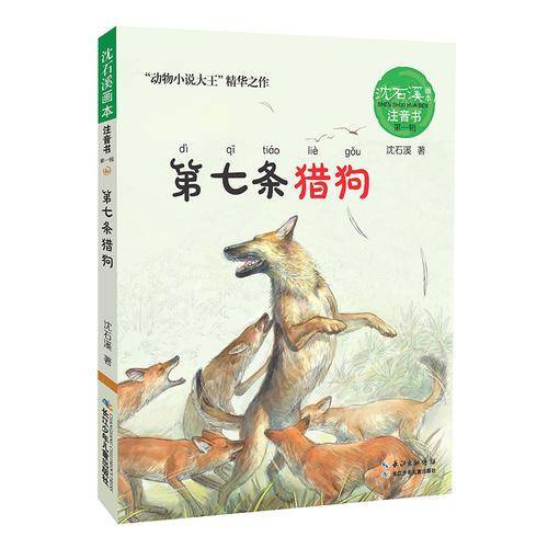 沈石溪画本・注音书系列（**辑） 第七条猎狗/沈石溪画本.注音书系列第一辑