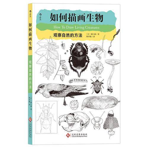 如何描画生物