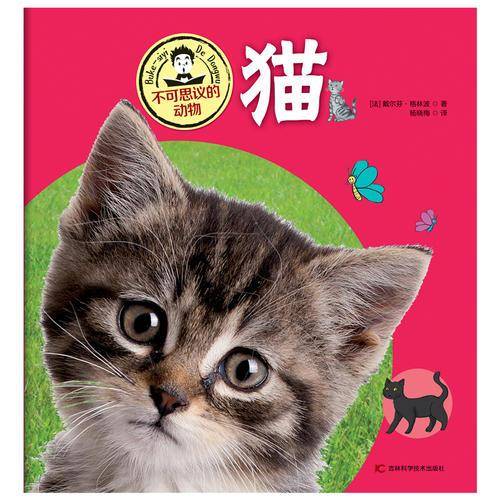 不可思议的动物猫