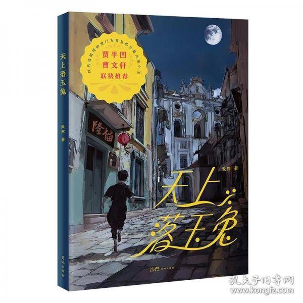 天上落玉兔