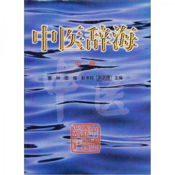 中医辞海 中