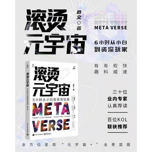 滚烫元宇宙