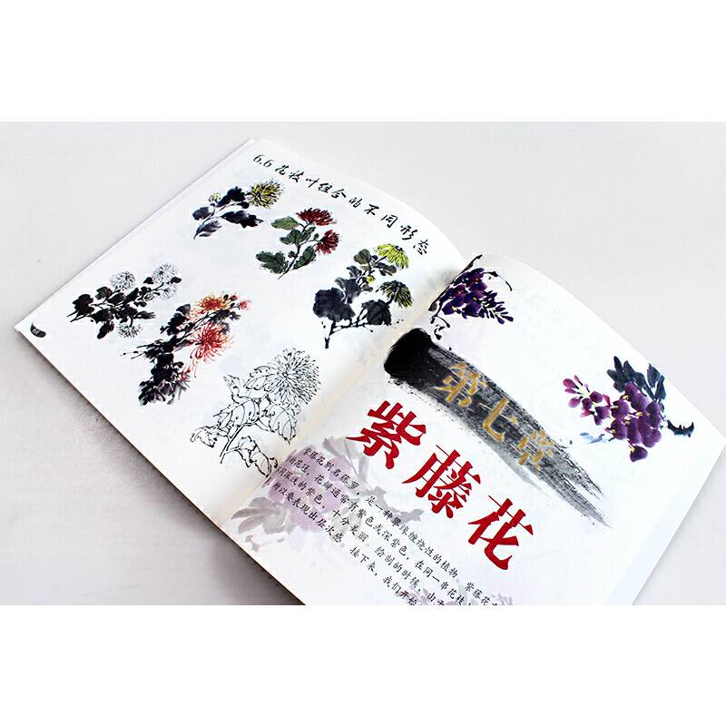 新手学国画（大字大图版）花卉综合