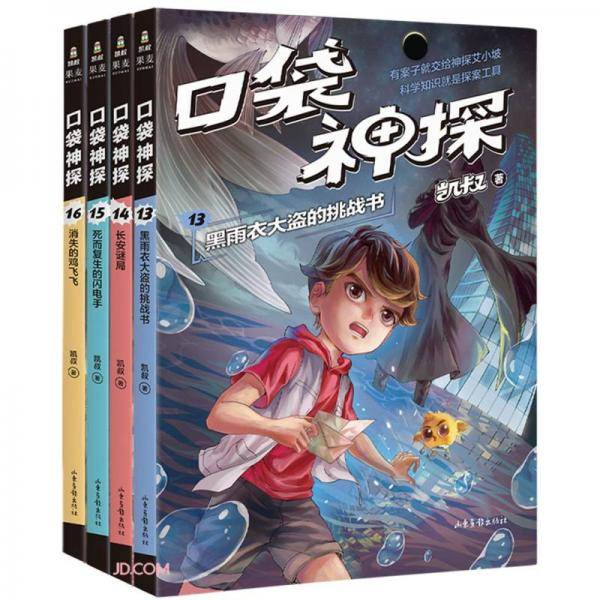 口袋神探13：黑雨衣大盗的挑战书