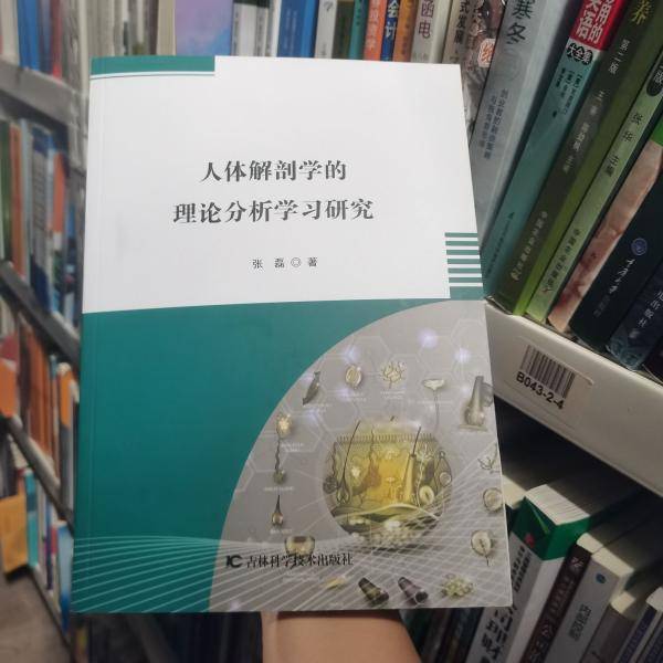 人体解剖学的理论分析学习研究 张磊 吉林科学技术出版社 9787557846305