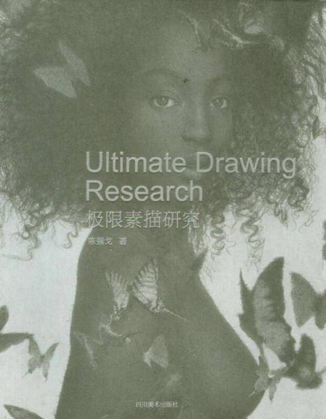 极限素描研究