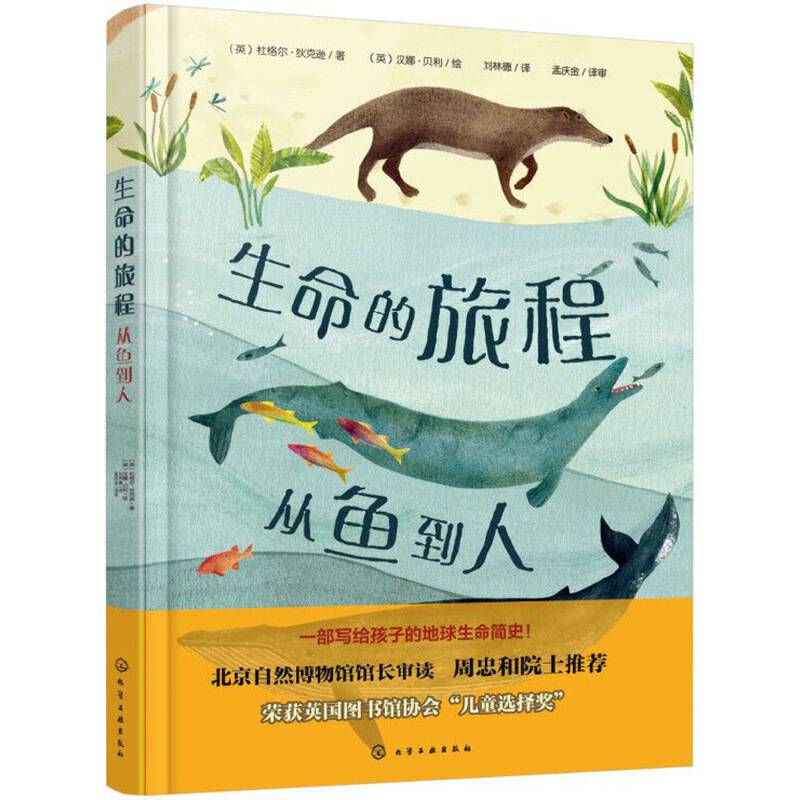 生命的旅程：从鱼到人
