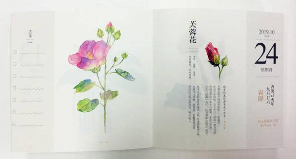 门店促销策略与实战技巧