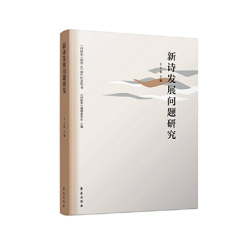 新诗发展问题研究