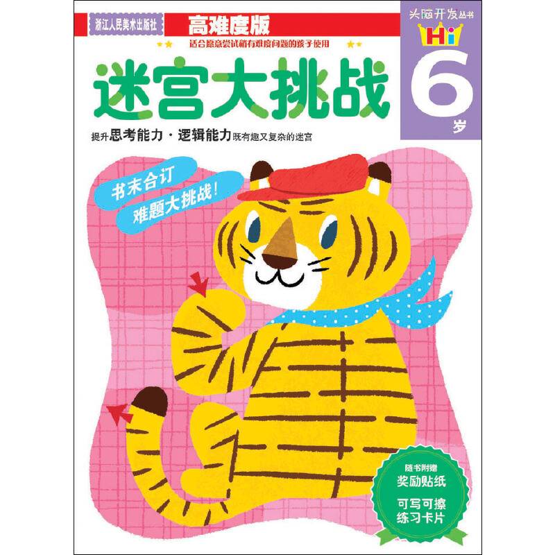 头脑开发丛书：迷宫大挑战（6岁）