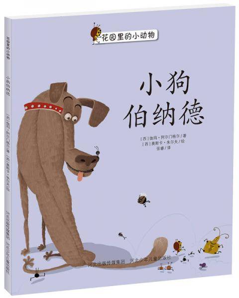 小狗伯纳德