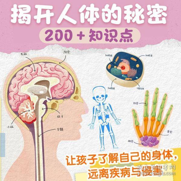 哇！好厉害的人体