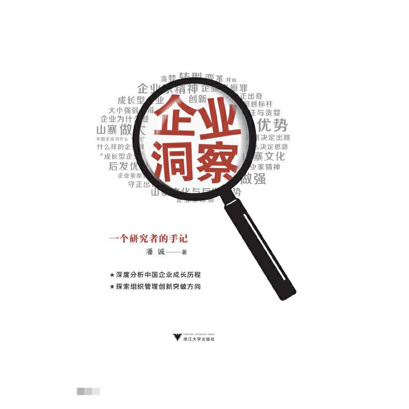 企业洞察――一个研究者的手记