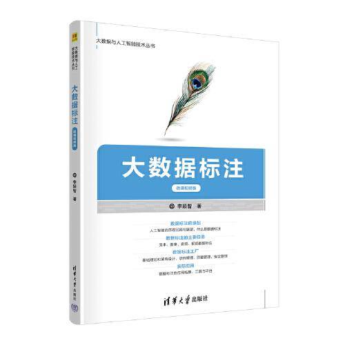 大数据标注（微课视频版）