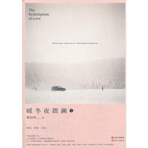 暖冬夜微澜：大结局