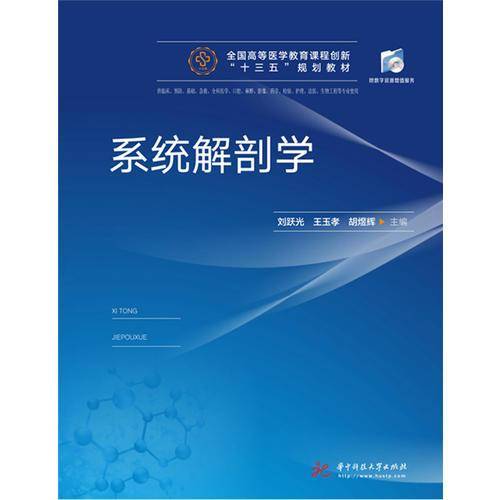 系统解剖学