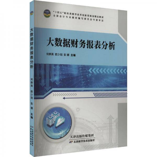 大数据财务报表分析