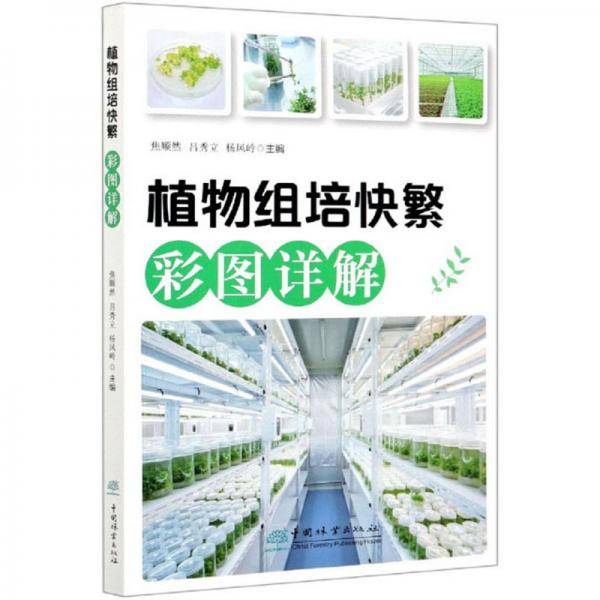 植物组培快繁彩图详解