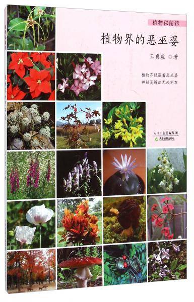 植物秘闻馆：植物界的恶巫婆