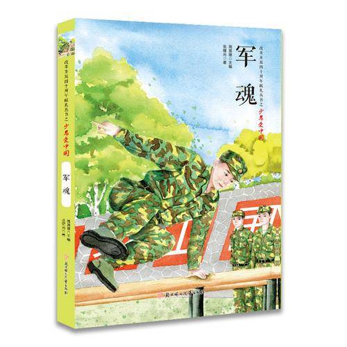 改革开放四十周年献礼丛书之少年爱中国-军魂
