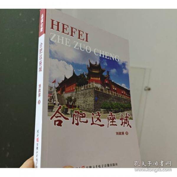 合肥这座城 二手书实拍图