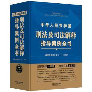 《中华人民共和国刑法及司法解释指导案例全书》根据刑法修正案(十一)编定(第三版)