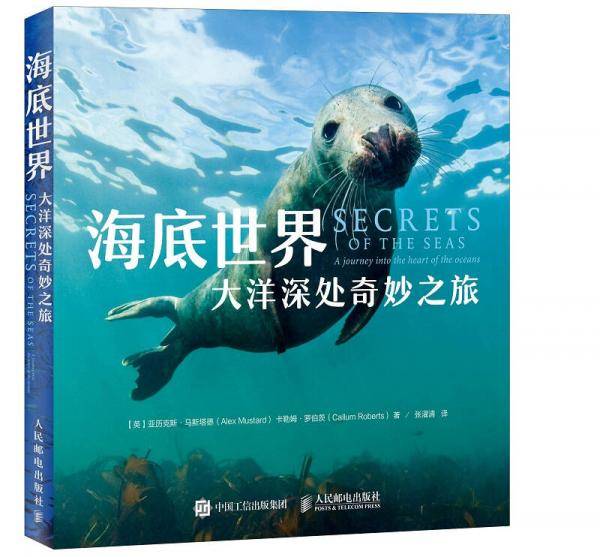 海底世界