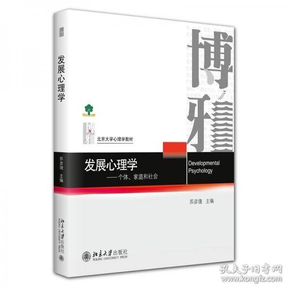 发展心理学：个体、家庭和社会 北京大学心理学教材系列