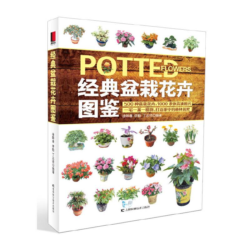 经典盆栽花卉图鉴