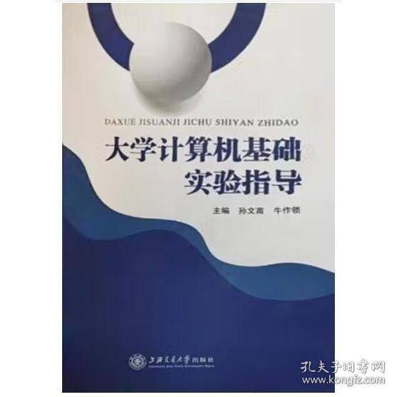 大学计算机基础实验指导 孙文高