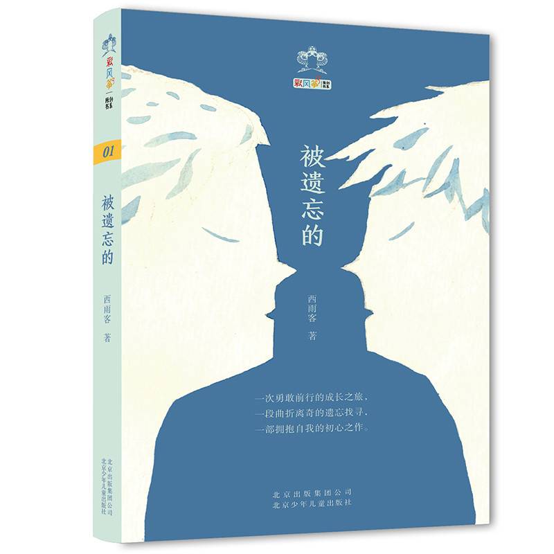 彩风筝原创书系 被遗忘的