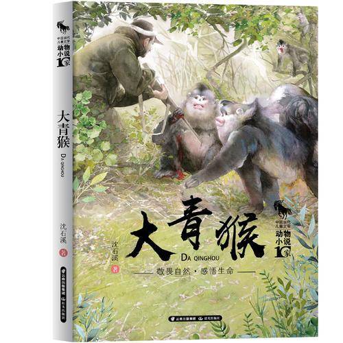 中国当代儿童文学 动物小说十家 大青猴