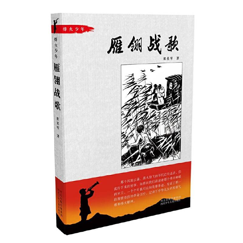 雁翎战歌/烽火少年系列