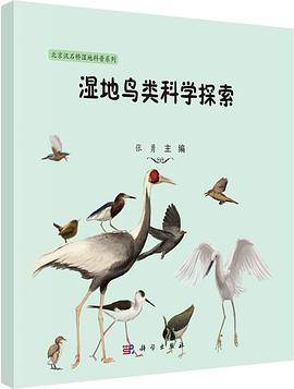 湿地鸟类科学探索