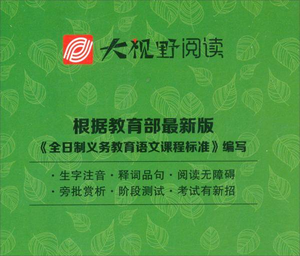 钢铁是怎样炼成的:大视野阅读