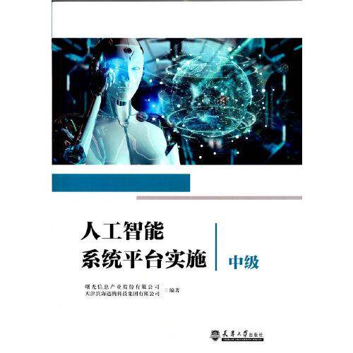 人工智能系统平台实施中级