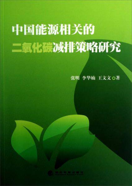 中国能源相关的二氧化碳减排策略研究