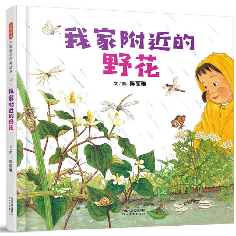 我家附近的野花