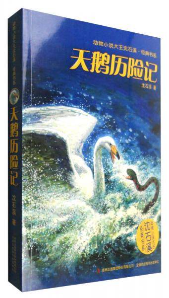 天鹅历险记