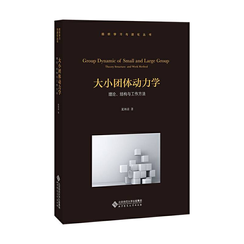 大小团体动力学
