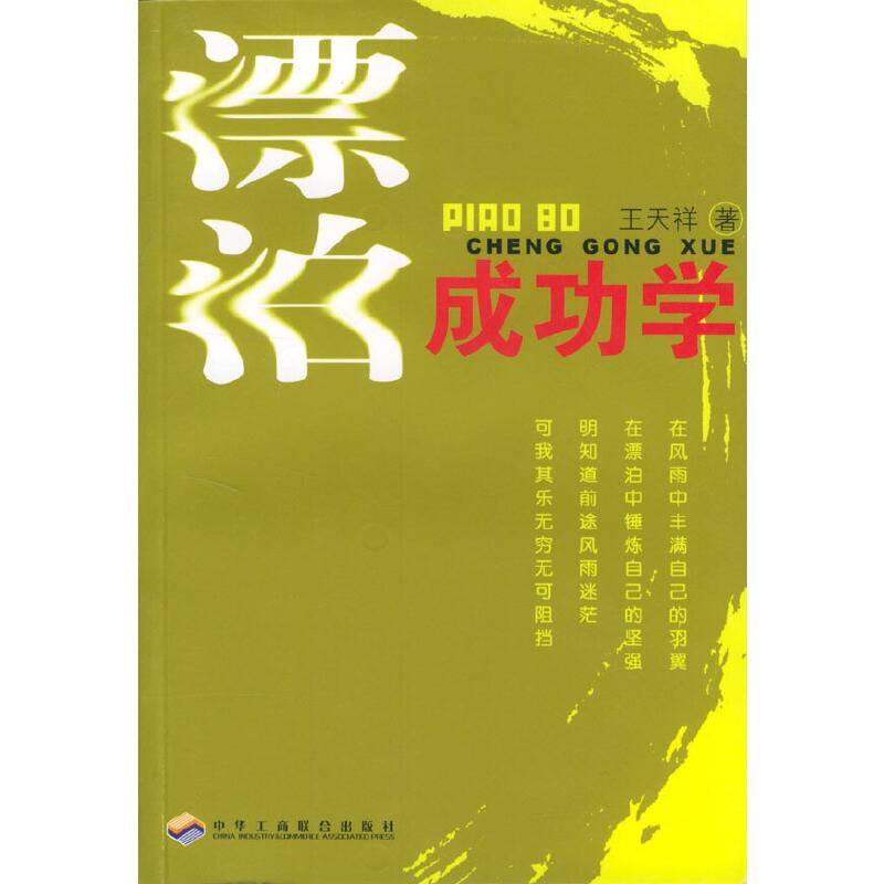 漂泊成功学