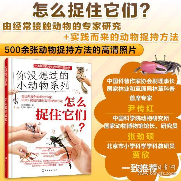 怎么捉住它们?